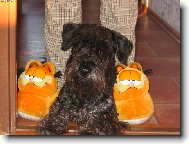 dva na jednoho je nef�r