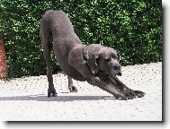 Hl�d�n� domu je n�kdy nuda