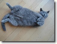 ��astn� budouc� m�ma