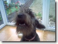 ja jsem up�r ale nikdo to o m� je�t� nev�:o)