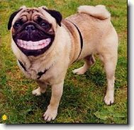 Bert�ku �ekni s����r