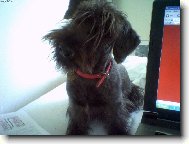 copak po m� chcete...