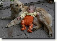 Ch�va na hl�d�n� aneb m�m nov� "�t���tko"