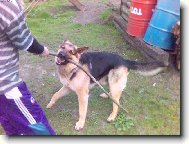 Pozor nevypad�m tak,ale jsem drsnej!!!