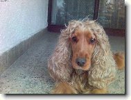 Jsme tak kr�sn� stvo�en�