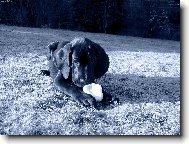 J� nic, j� muzikant ...