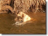 Candie z Ol�ov�ho ml�z�