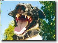 Ahoj, j� se sm�ju!