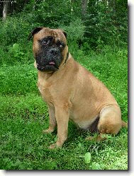 Costa Str�nick� r�j