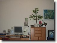 po��ta� s lampi�kou