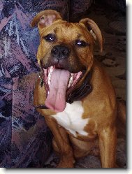 �sm�v, pros�m!