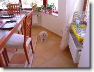 Le��m a kouk�m...