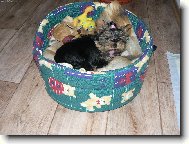 to se n�m chce spinkaaaat....