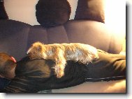 Molly a p�n��ek