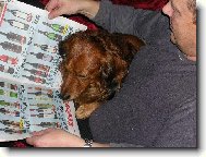 Dnes m�m chu� na b�l�