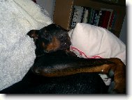 To u� m�m vst�vat?