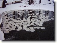 P��roda �arod�jka