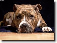 U� toho focen� nech...