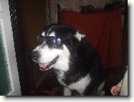 Mohl bych b�t modelem,co ��k�te:-)