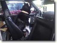 Lidi�ky nasedat,za chv�li vyjedu