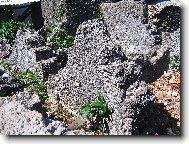 h�bytov s kor�lov�mi pomn�ky