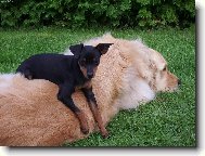 tady je moje m�ste�ko