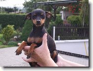 na rukou m� nosit...