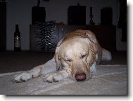 Jsem n�jak� unaven�