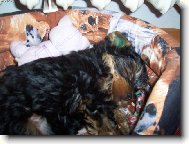 D�v�m si �lof�ka po ob�dku