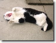 sladk� probuzen�