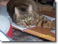 Mat�sk�v relax 2