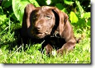 Dast�k- prvni foto