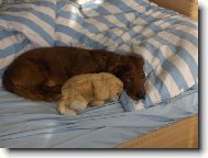 Bobinka a M��a jsou kamar�di