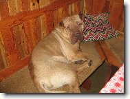 Jen trochu odpo��v�m...