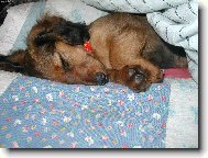 u� tlu�e �pa�ky