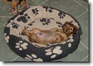 Jsem chlap a kdo je v�c......