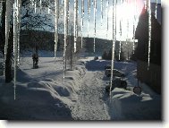 leto�n� jaro na �umav�