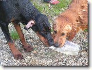 To je moje l�hev...