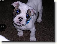 tak m� tady m�te