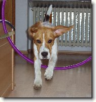 U� let�����m!!!