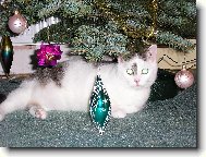 V�no�n� nad�lka