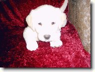 A te� jsi vy�l�pnu...