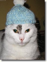 Zima u� m� nep�ekvap�