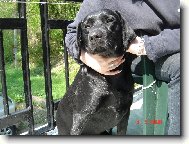 Pani�ka ma vol� AIDA-�elma pre�krutn�...:-)