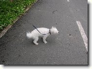 fuj...........mus�m se ot�epat...........