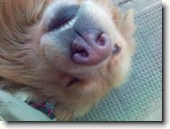 U� v�te jak r�d se fot�m?