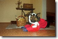 �erven� Karkulka