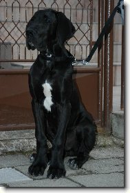 V�stavn� posed :o)