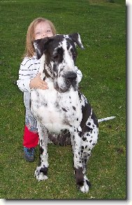 A te� si pro m� poj�te