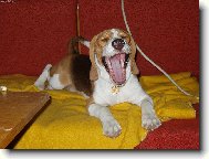 U����, to je ale nuda...